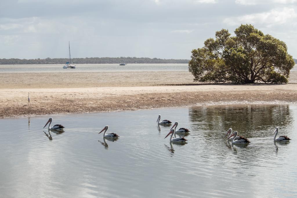 Big4 Breeze Holiday Parks - Rainbow Beach Buitenkant foto